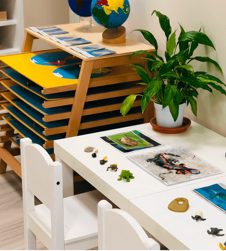 Garantizamos que somos un verdadero colegio Montessori.